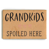 Funny Magnets